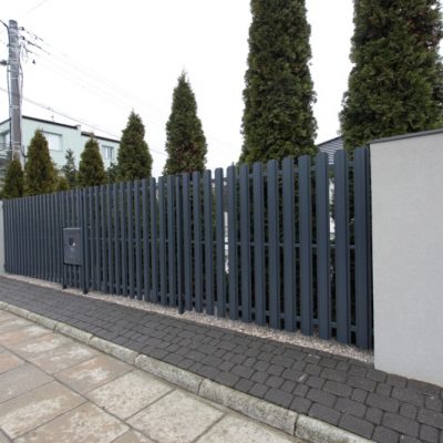 PS 002 - TOP FENCE
